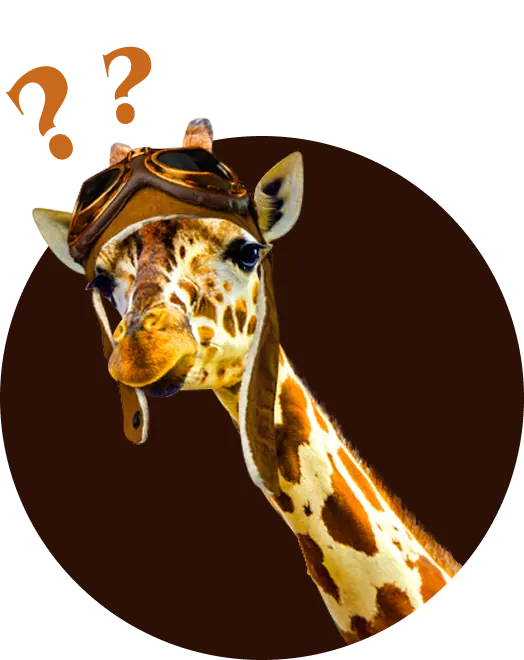 banner image